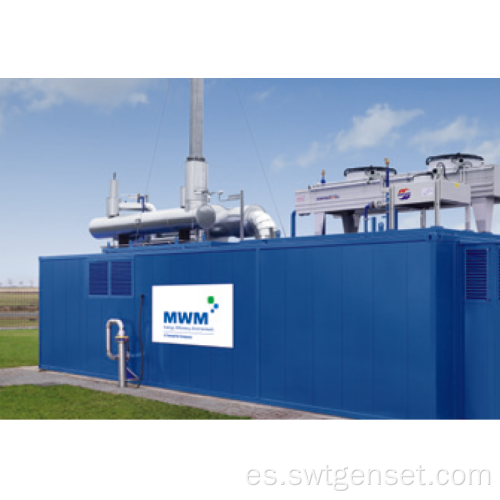 Planta de energía de gas 1MW-100MW